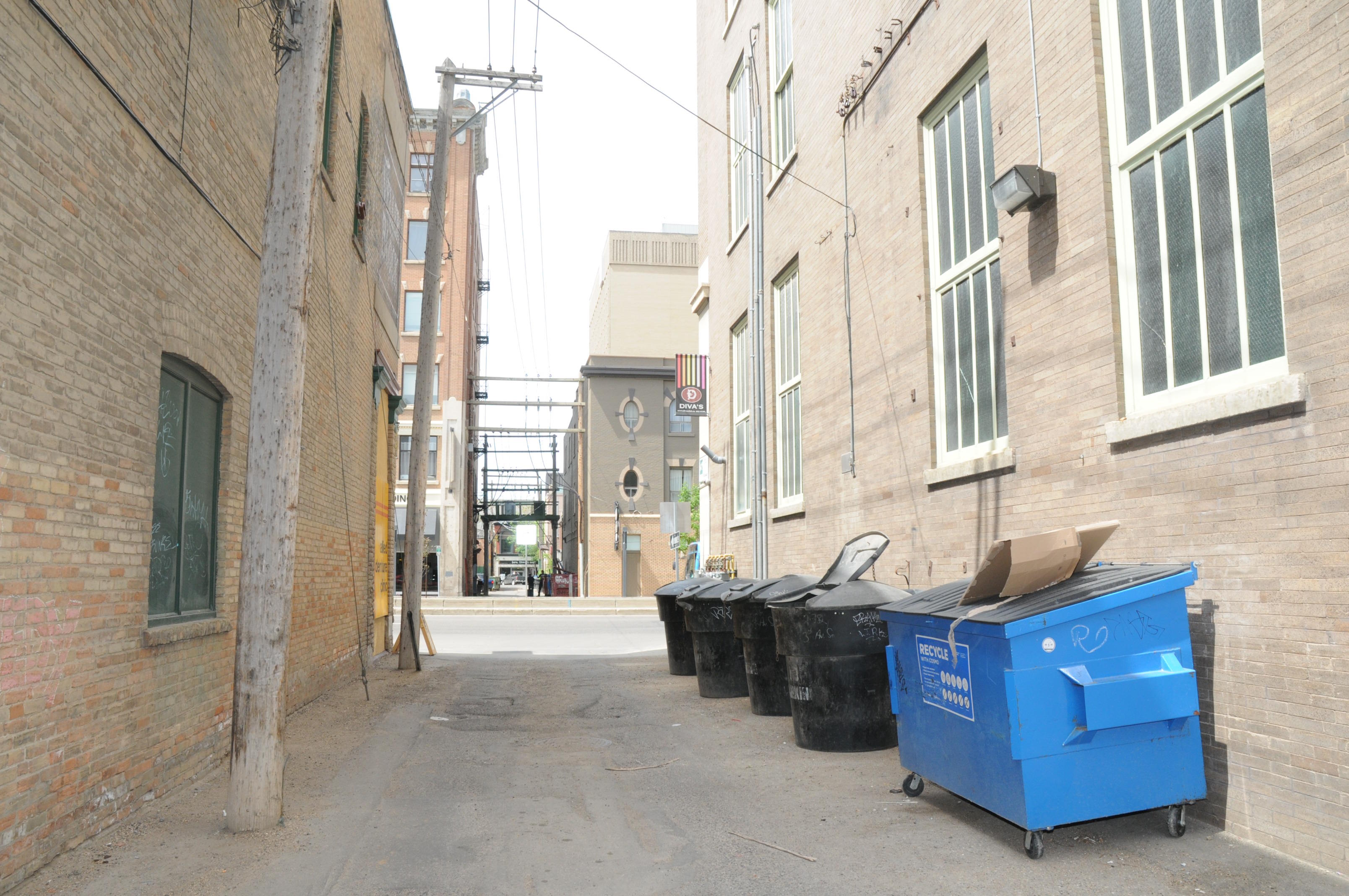 Trash cans and recycling bins line in an alley
